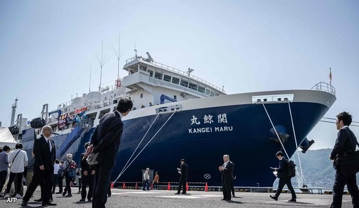 See Japanese company's brand new $48 million whaling mothership IMAGE